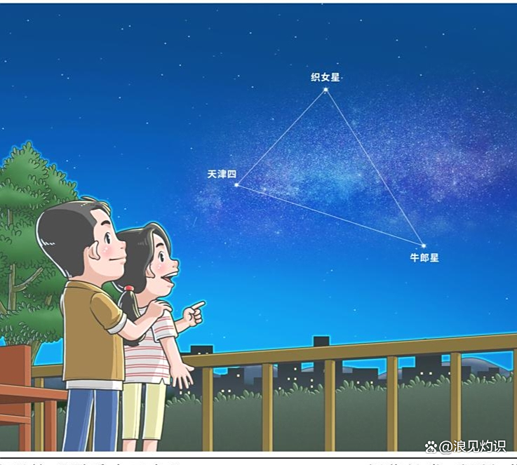 月背为何没有人去？奇怪“石碑”被发现，玉兔二号正前...