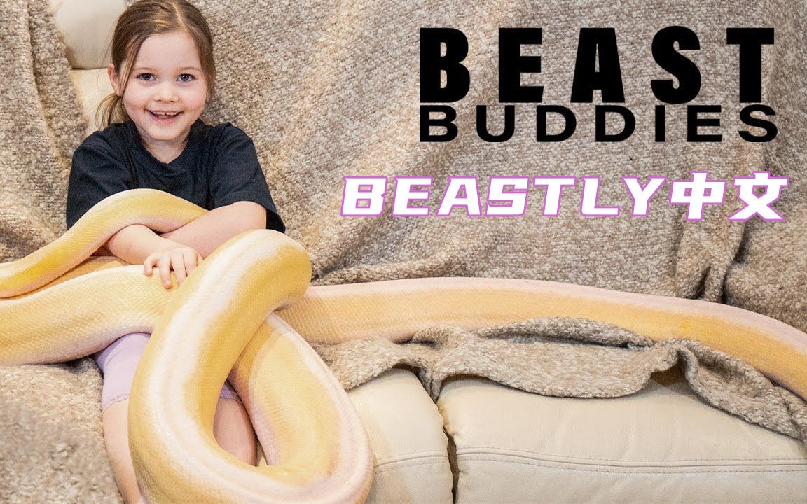 人与蛇的那些故事，你知道背后隐藏着哪些秘密吗？