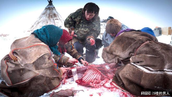 爱斯基摩人一辈子都吃生肉，是基因变异还是另有原因？...