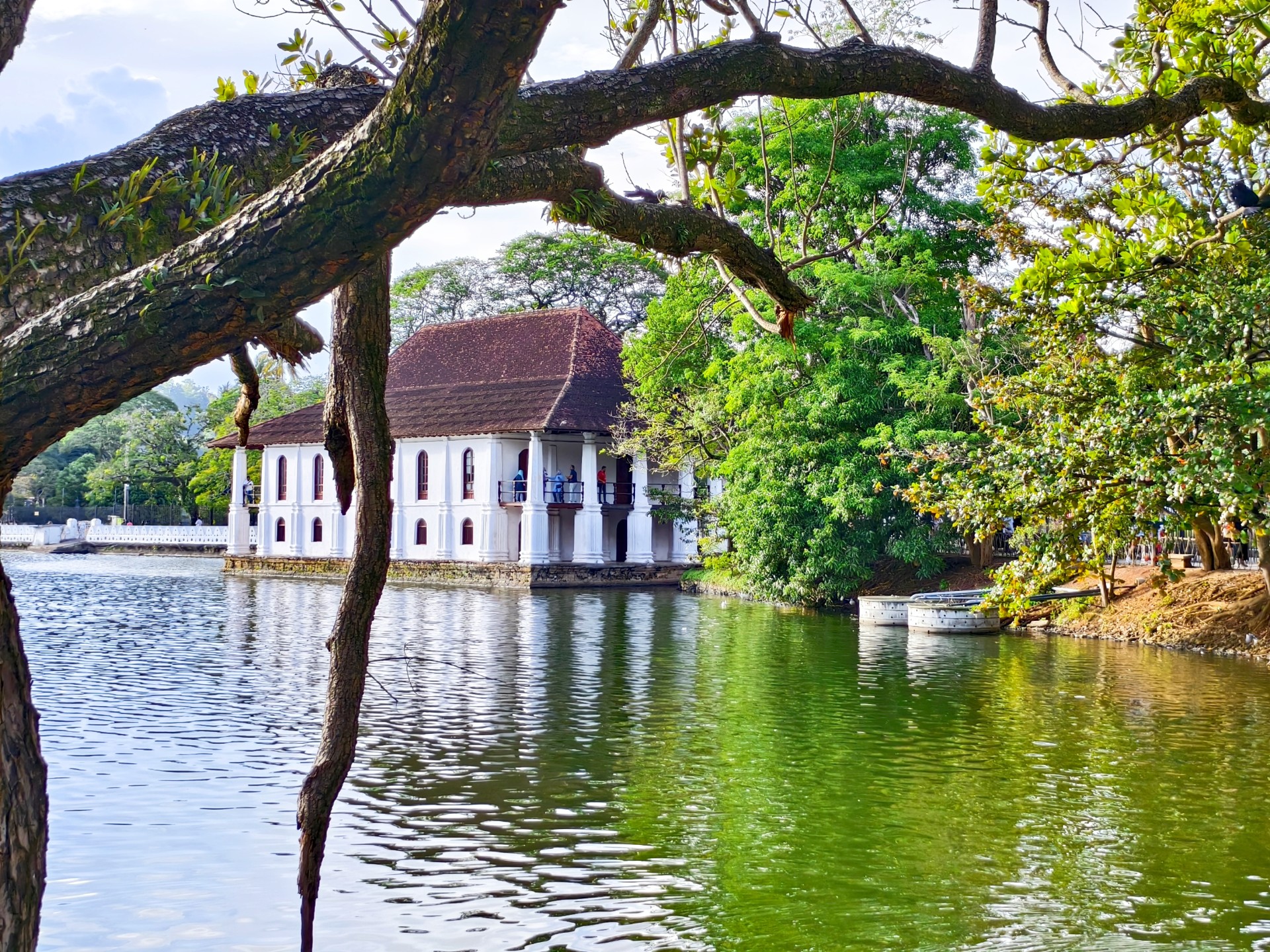 斯里兰卡康提湖营业时间 康提一日游景点推荐