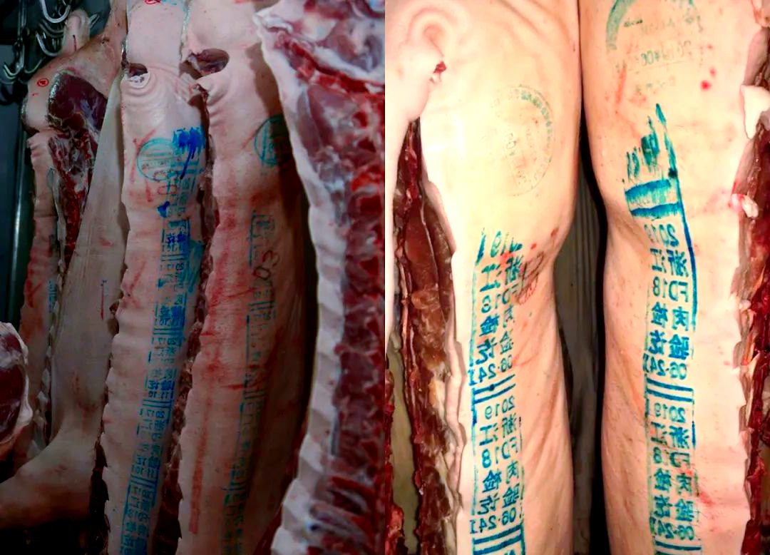 猪皮上的印章洗不掉可以吃吗？会不会中毒？