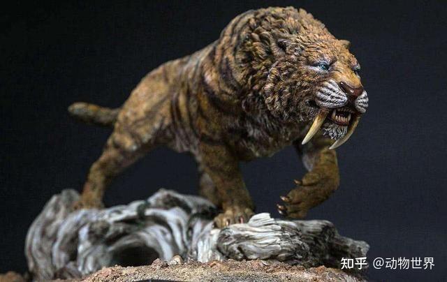 在牛屁股上画眼睛，真的能吓退狮子吗？