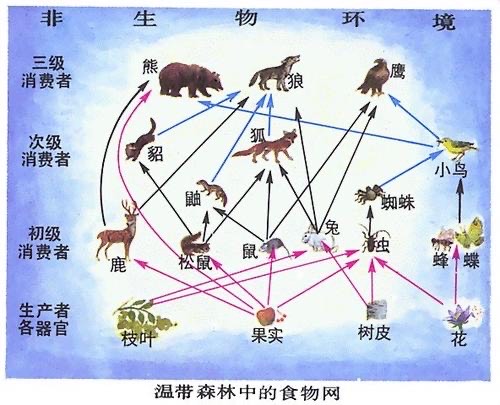 病毒在自然界的天敌 病毒克星究竟是什么