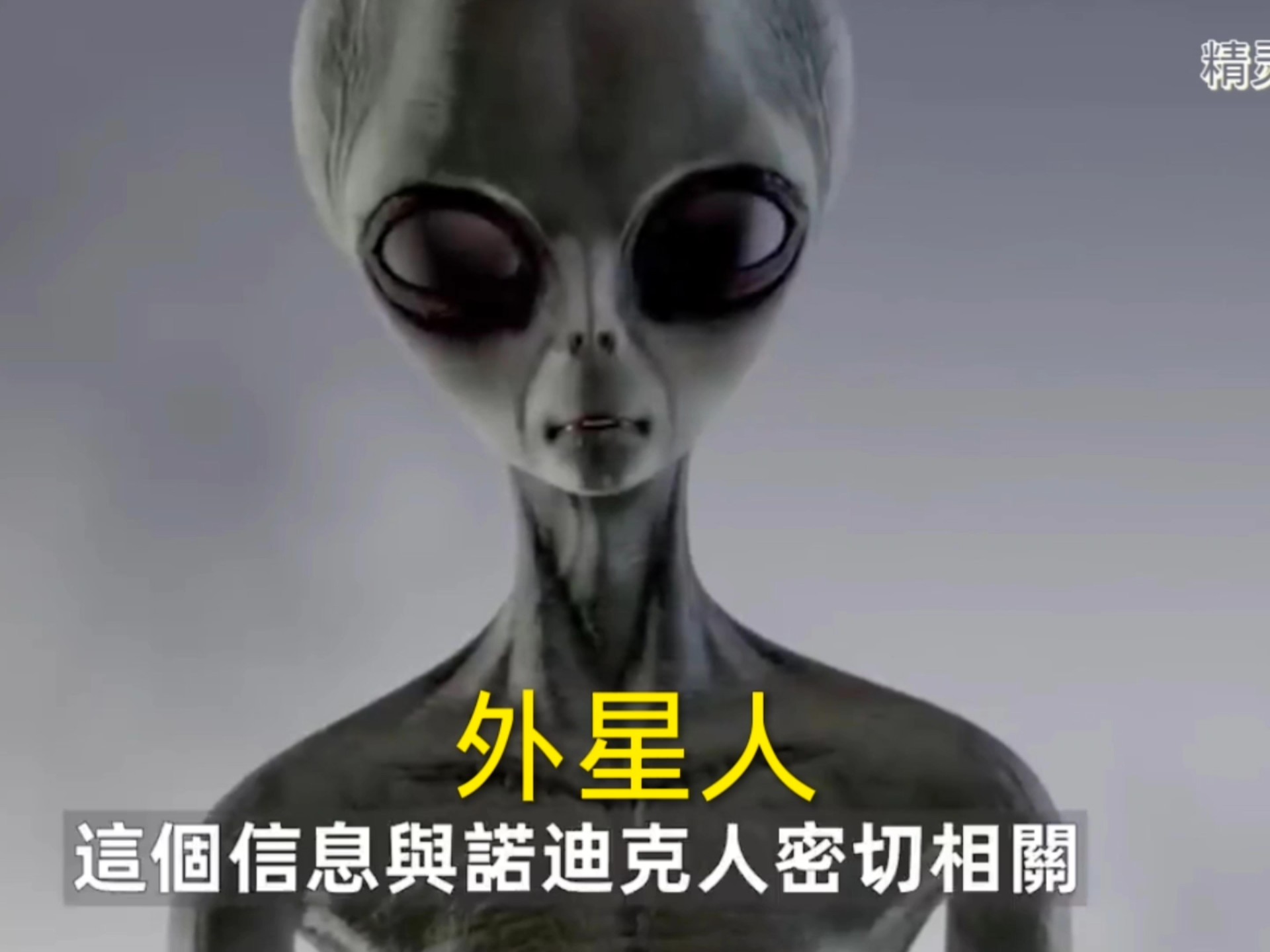 人类为什么看到同类的残骸会害怕？...