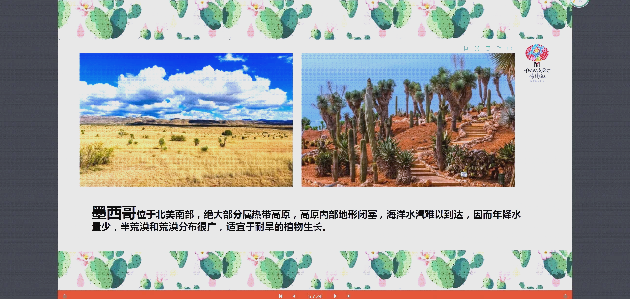 墨西哥人为什么爱吃仙人掌 仙人掌怎么吃才美味