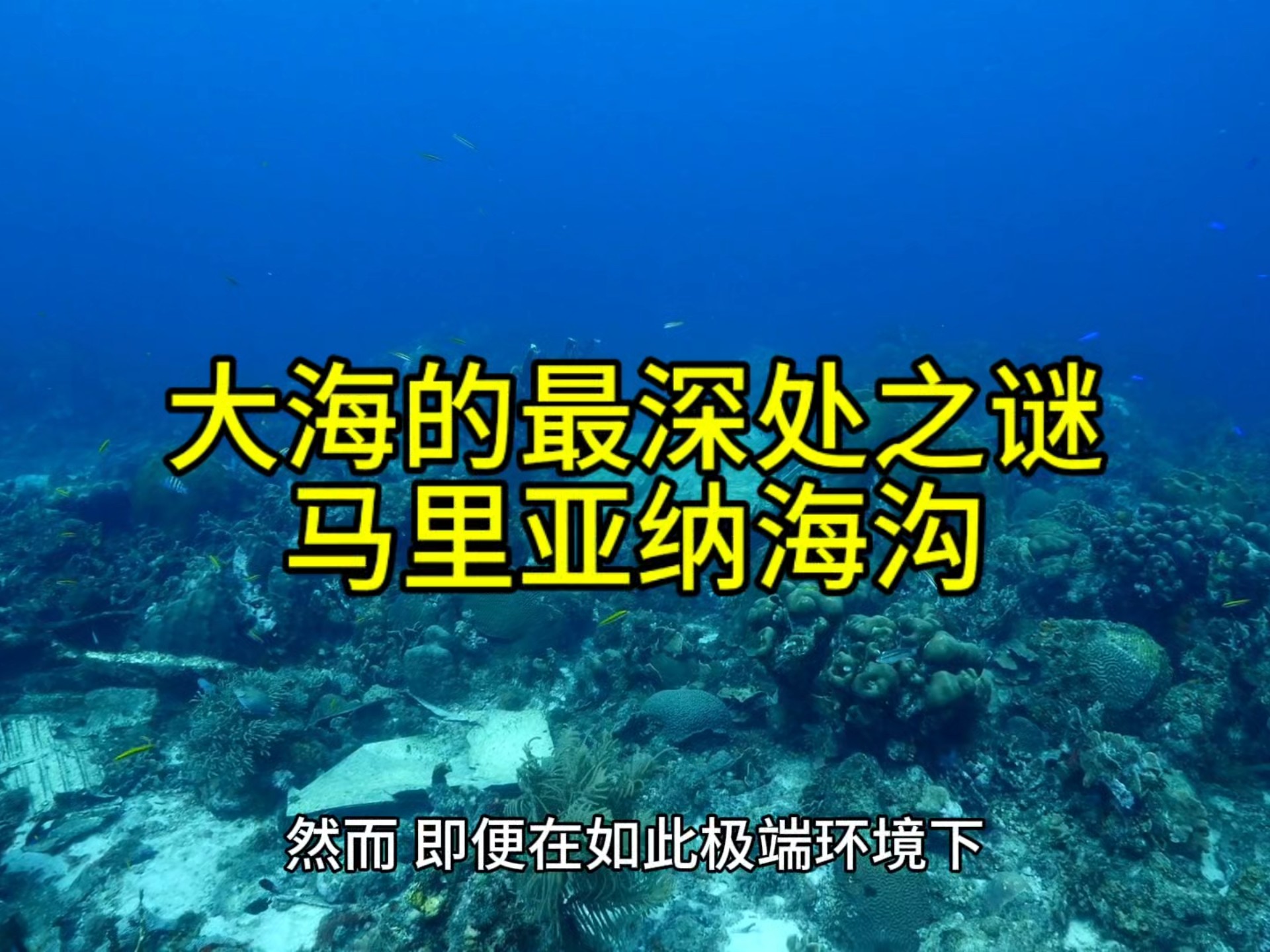 世界最深海沟 马里亚纳海沟到底有多深 蛟龙号深潜揭秘