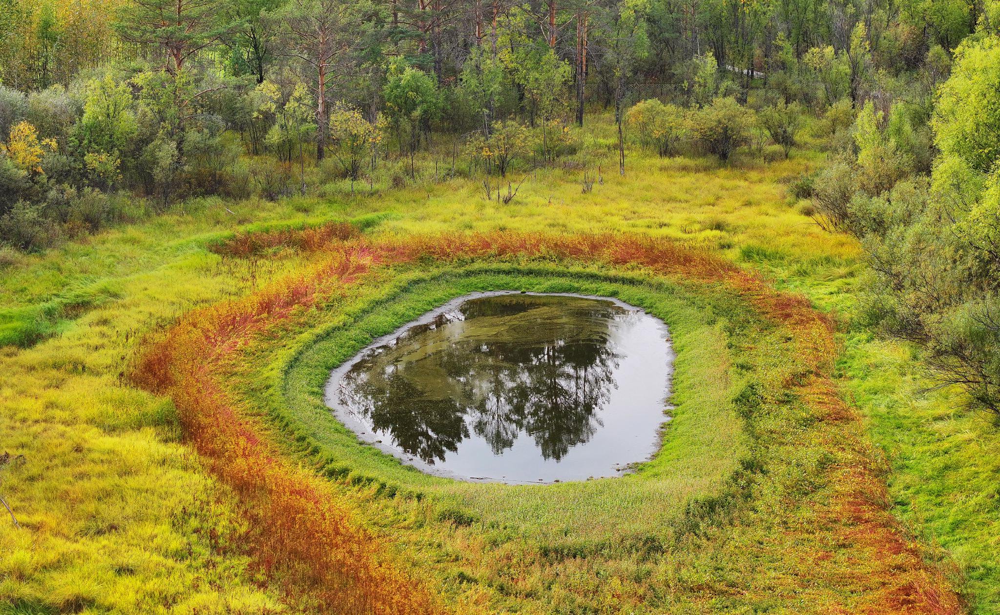 欧洲价格洼地现象解析 德国物价与投资机遇