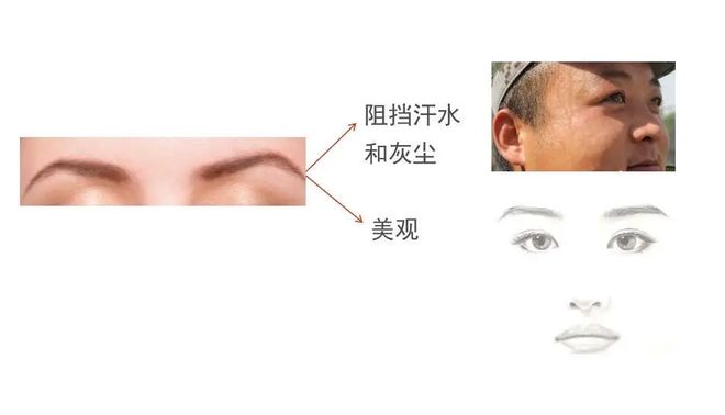 地球上的物种数百万，为何只有人类需要穿衣保暖？...