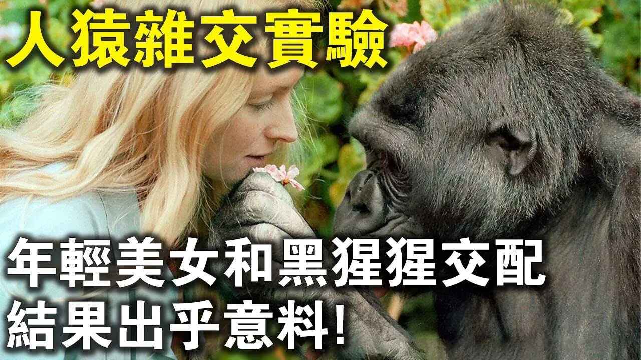 当年轰动世界的人猿杂交实验，5名女性参与后到底发生了什么？