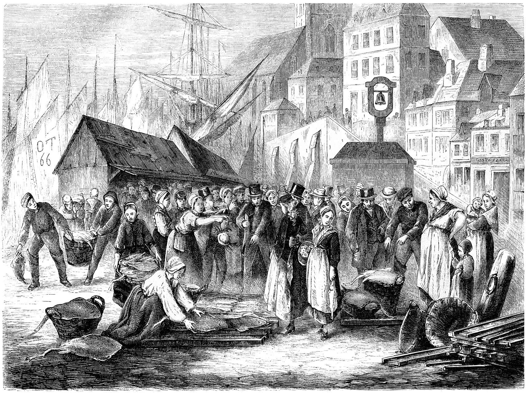 历史上有哪次由动物引发的瘟疫，差点让人类灭绝？...