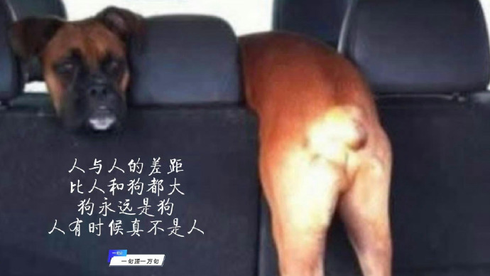 为什么人不像其他动物(如狗),有不同种类?而人只剩...