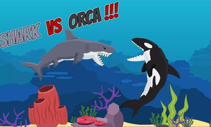 海獭咬住虎鲨鼻子，联想到它们的暴力交配习惯，不禁让...