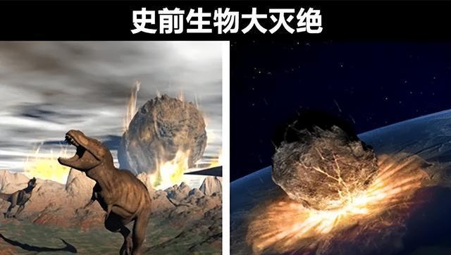 全球昆虫显著减少，第六次生物大灭绝或在发生？主角不...