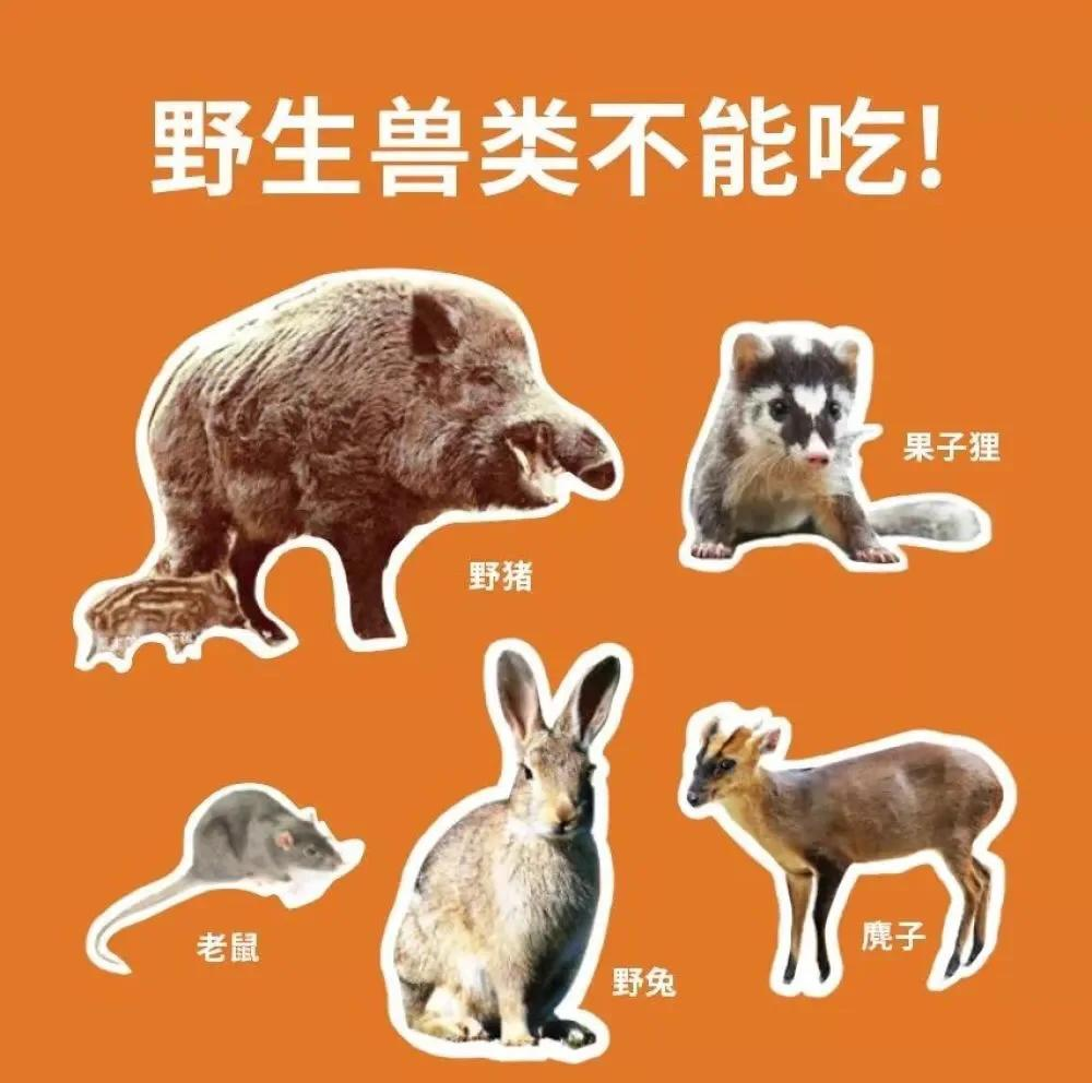 消失170年的鸟类再次出现，科学家：人类或已开启第...