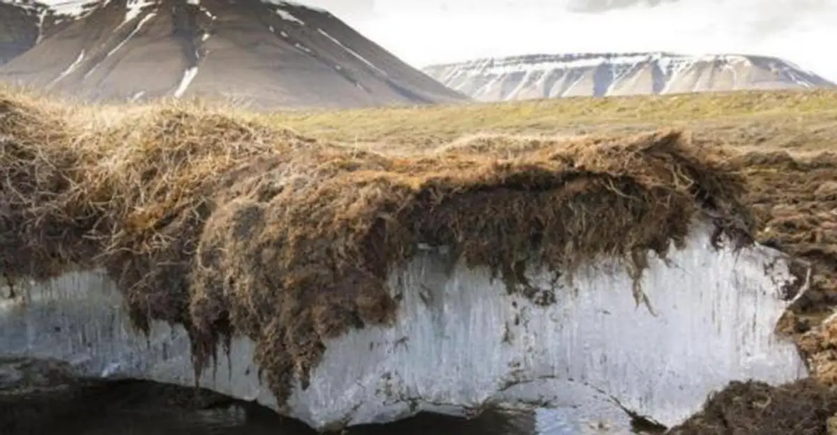 史前生物尸体频现北极，潘多拉的魔盒或就此展开，我们...
