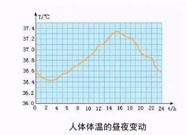 为什么人类的“正常体温”不再是37℃？这到底是好事还是坏事？