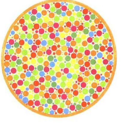 盲人体验到底有多难？你知道盲人做梦和生活的秘密吗？