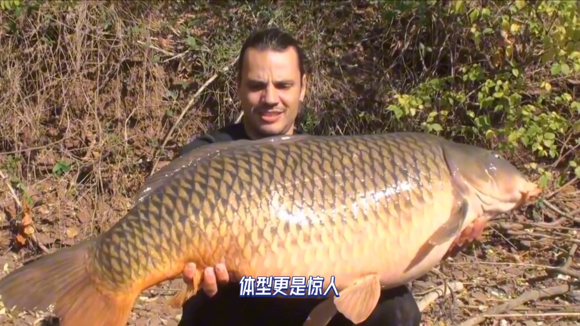 美国为什么要整治亚洲鲤鱼？背后真相你知道吗？