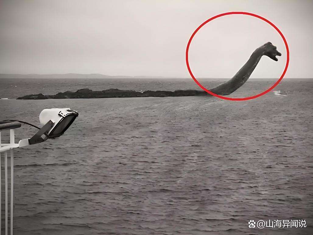 科学家：尼斯湖水怪或真实存在，只不过是古老罕见的物...