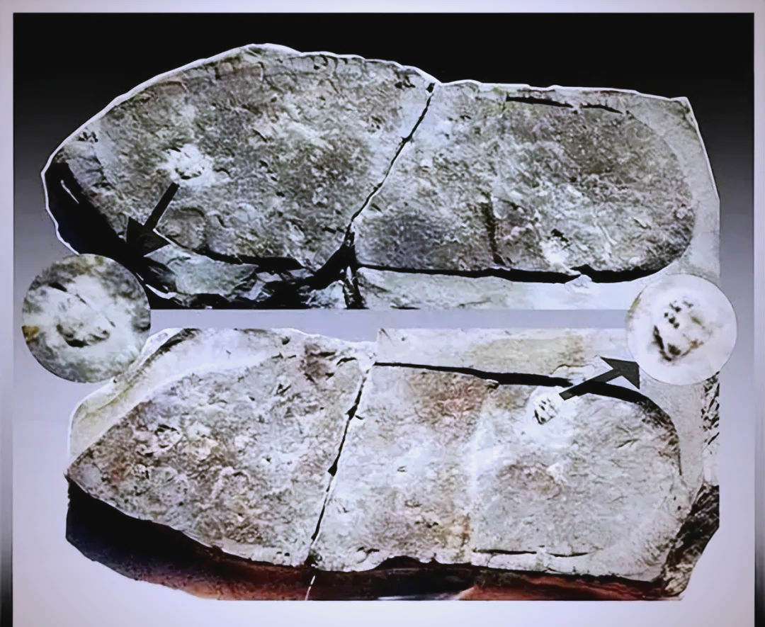 史前文明存在的证据 神秘文物与人类起源之谜