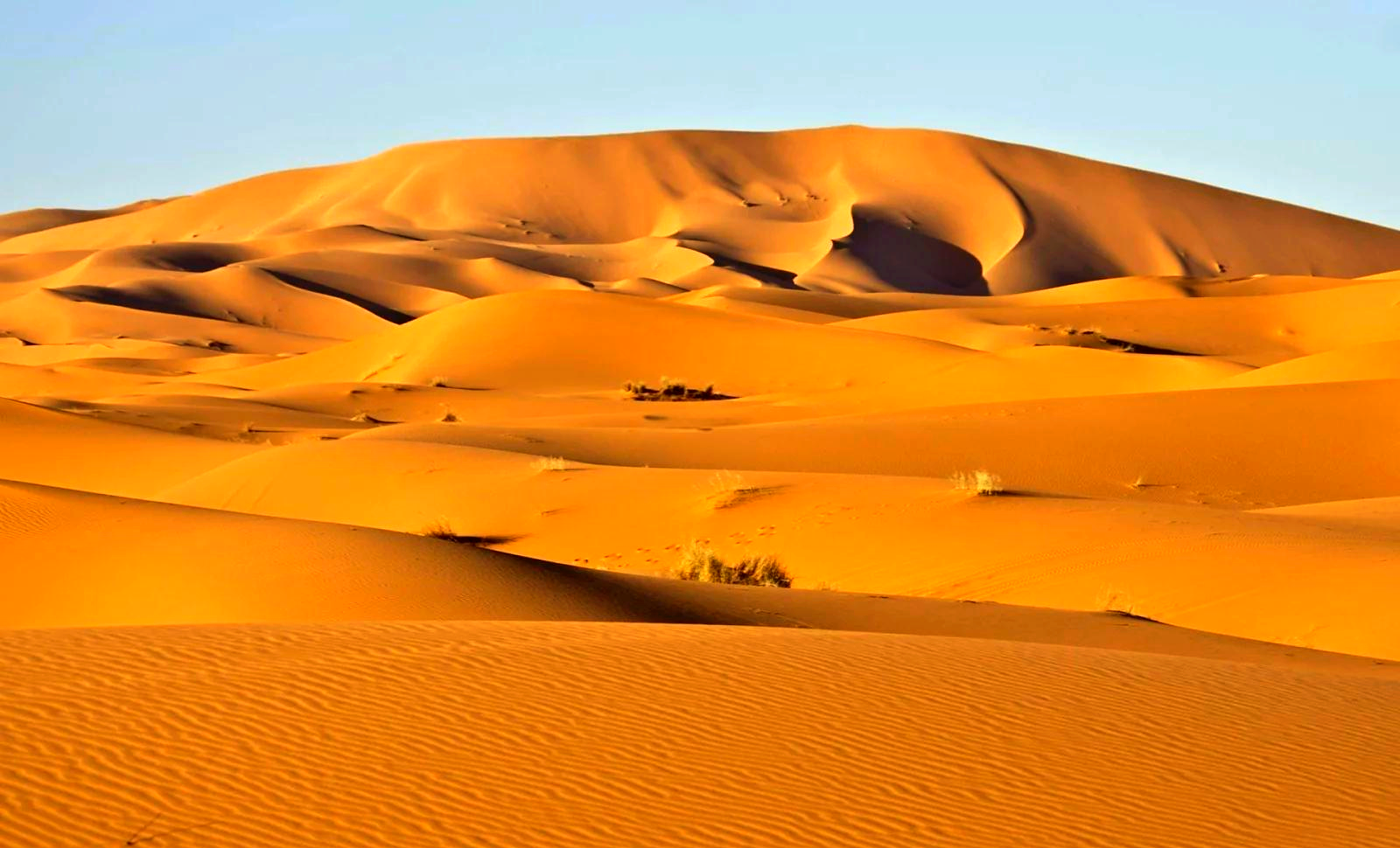 为什么沙漠沙和海沙不能用于建筑，河沙到底有什么特别？