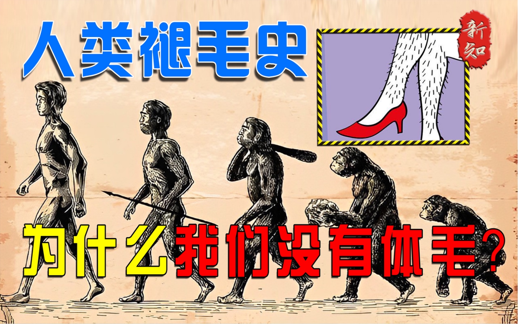 人类为什么褪去体毛 保留头发和腋毛的原因