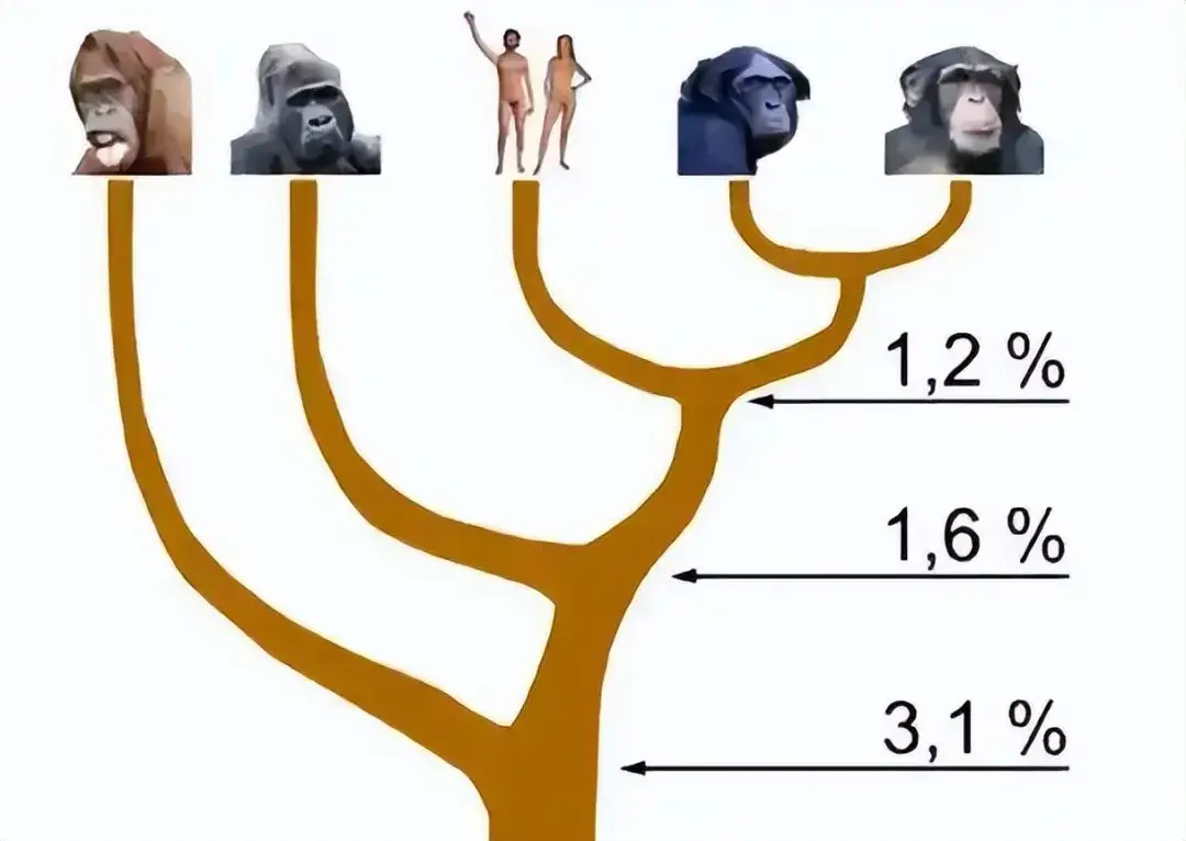 人类和其他生物生殖隔离 生殖隔离意味着什么