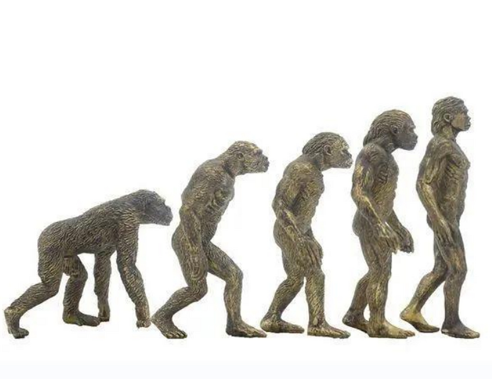 智人真的很孤独，曾经的兄弟姐妹哪？科学家：可能被我...