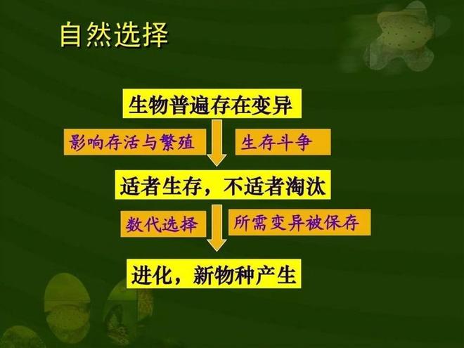 生物为啥不选择永生，非要拼命繁衍后代？看完你就懂了！