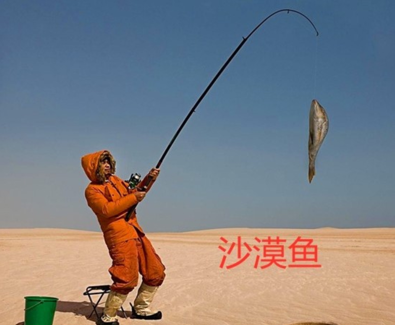 全球最与世隔绝的沙漠鱼，为什么只剩38条？它们还能活下去吗？