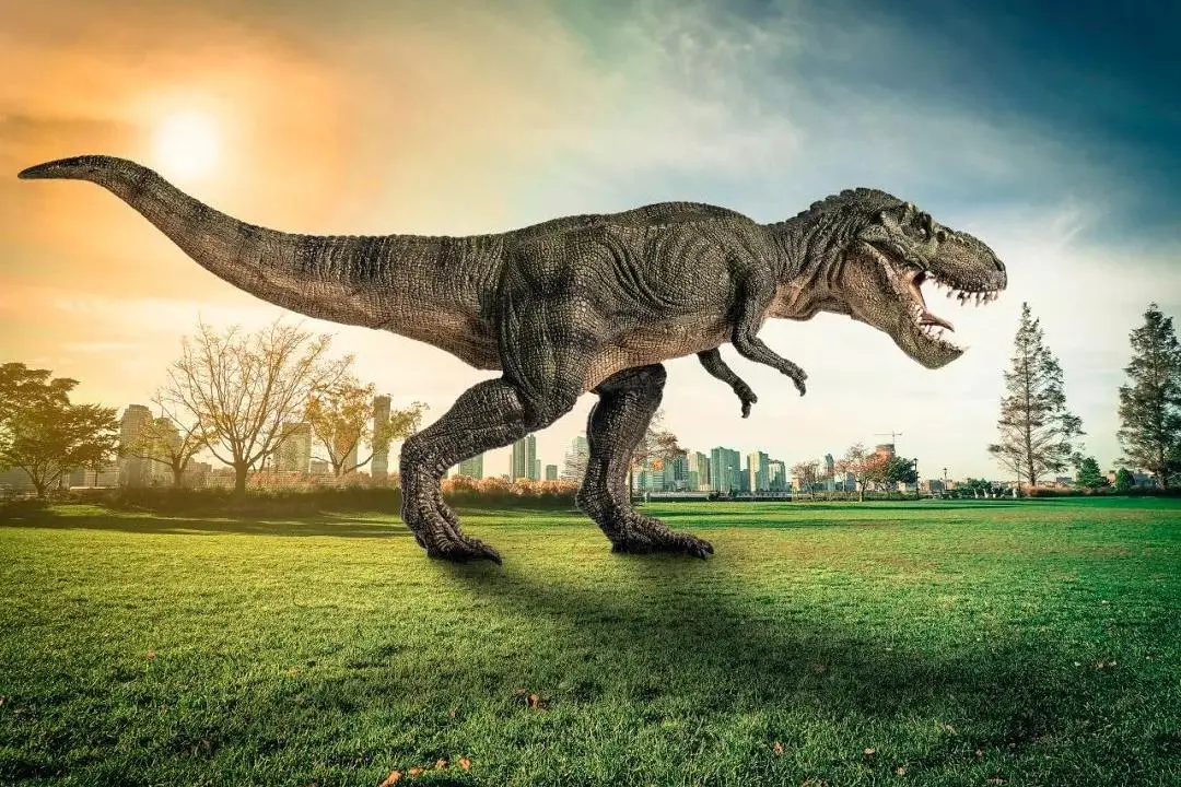 有专家认为:恐龙的骨头早于人类“登上”了月球?这是...