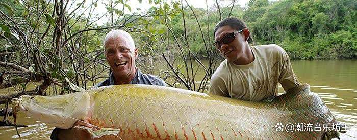 亚马逊河到底有多可怕？为什么当地人连游泳都不敢？