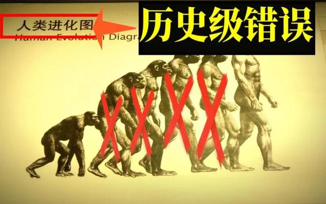 人是由猴子进化而来？这跟达尔文真的没关系...