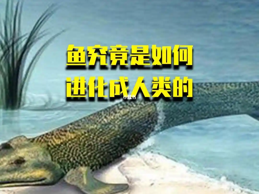 人类真的是从鱼进化来的吗？科学家到底证实了什么？