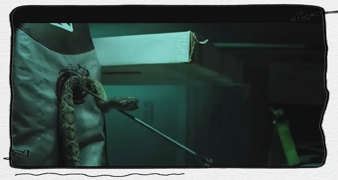 人类天生恐惧哪些动物 这些动物启发哪些发明