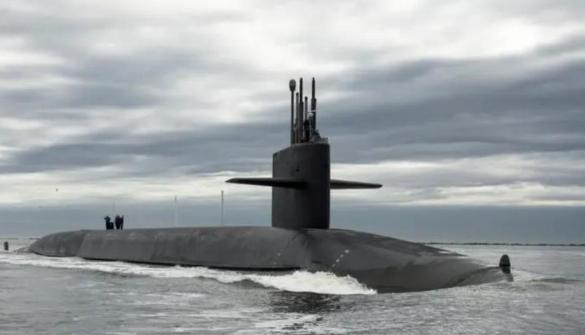 美国海滩突现大量沙币，原因未知引人担忧，可以捡回食...