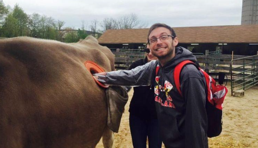 为什么美国人在牛身上开洞？这背后到底隐藏着什么秘密？