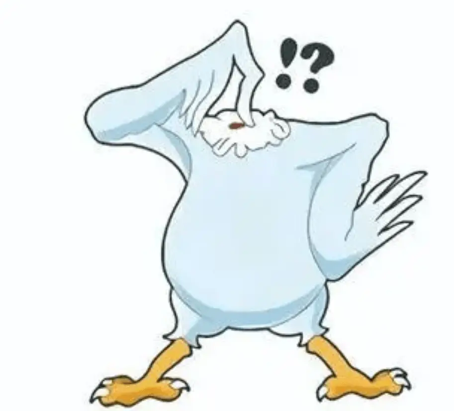 曾全美巡演的“无头鸡”，被砍头仍活18个月，登《时...