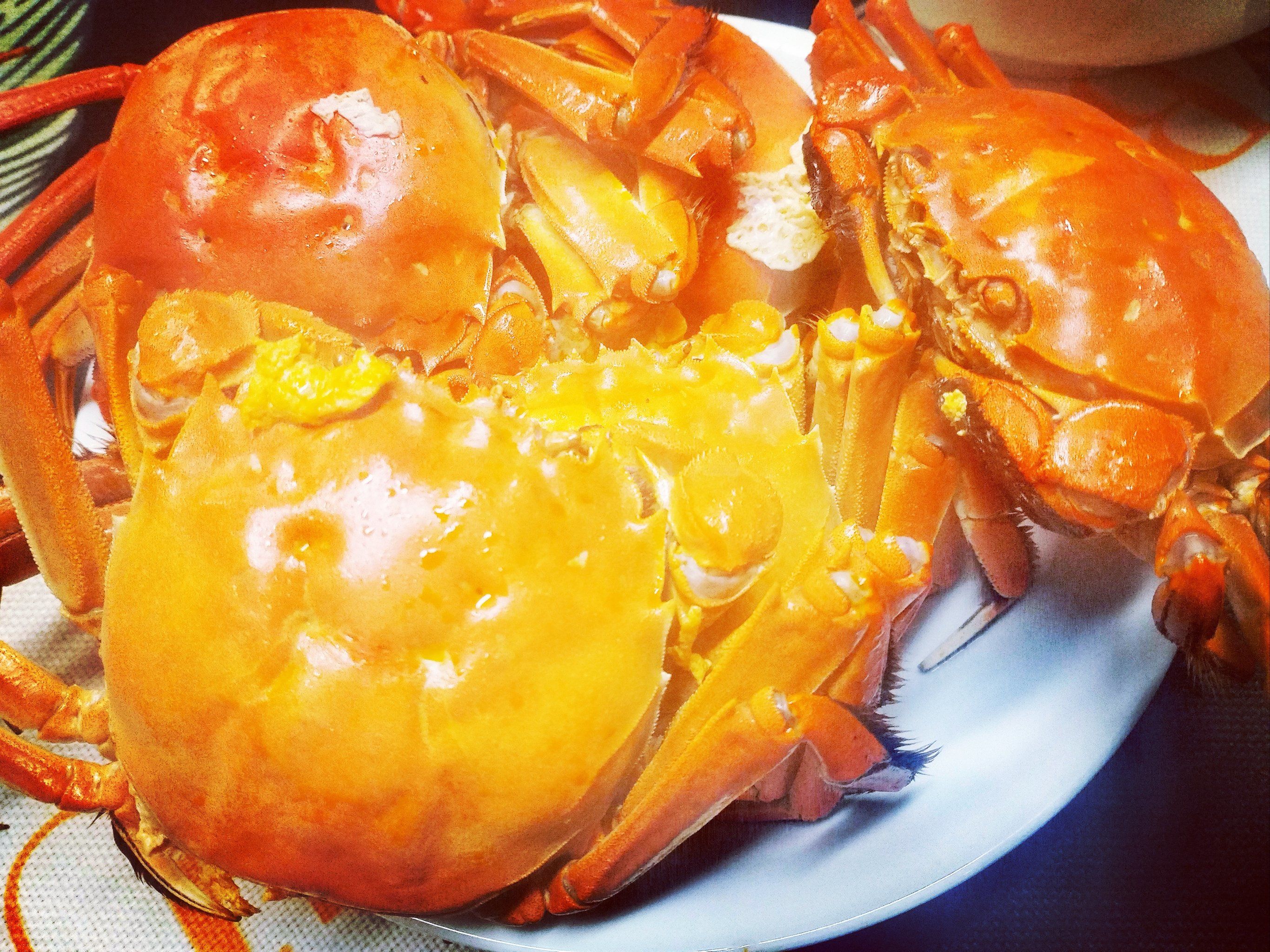 椰子蟹、青蟹……你还见过哪些稀奇古怪的蟹？...