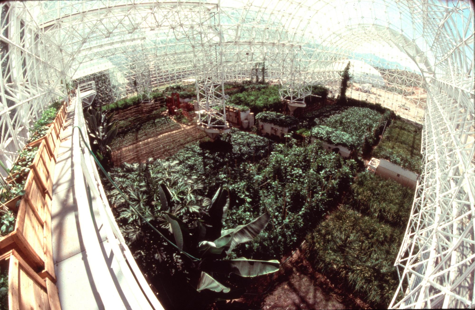 生物圈2号到底是个啥？月球的神秘现象和俄罗斯月球实验揭秘！