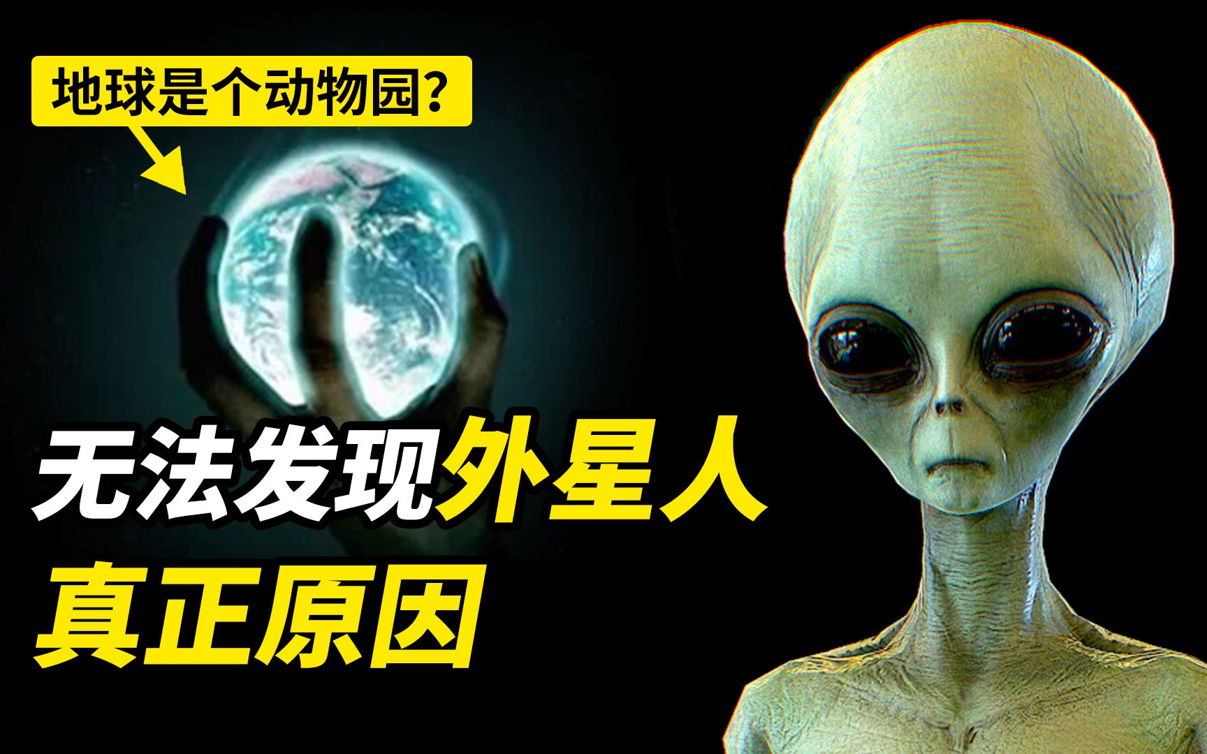 人类被外星人圈养？地球只是动物园？科学家：只有一种...