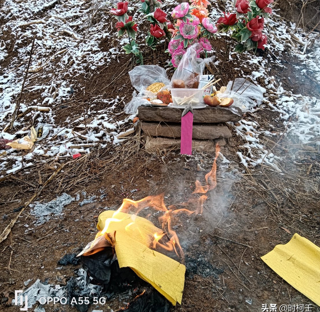 河南大蛇坟头晒太阳，持续近1个月，引村民围观，难道...