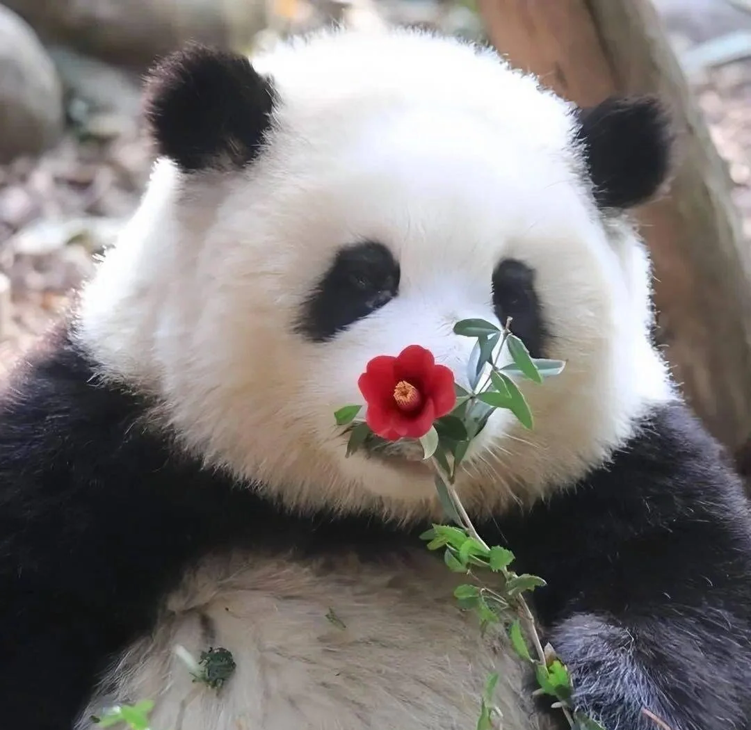 中国天眼发现神秘信号，重复1600次，外星人或存在...