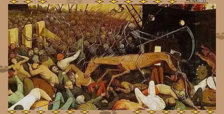 黑死病到底是怎么横扫欧洲，造成三分之一人口死亡的？