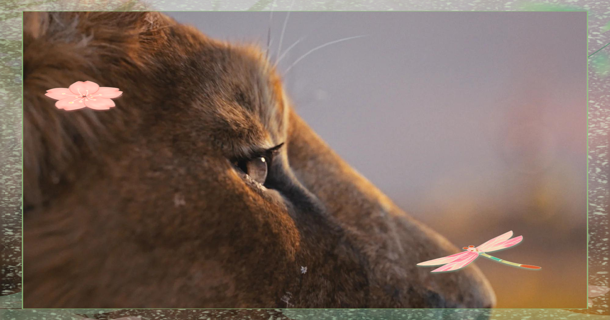 石狮为什么不像狮子 ？...