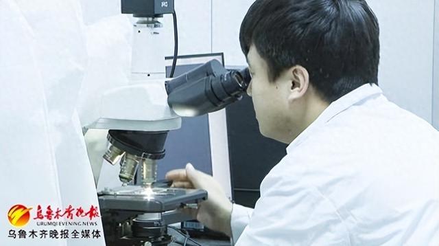 金正公司倒闭原因揭秘 金正品牌产品还值得买吗