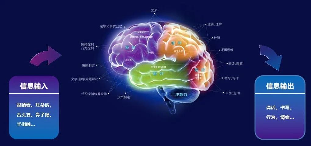 人的大脑记忆容量到底有多大？相当于几TB硬盘？