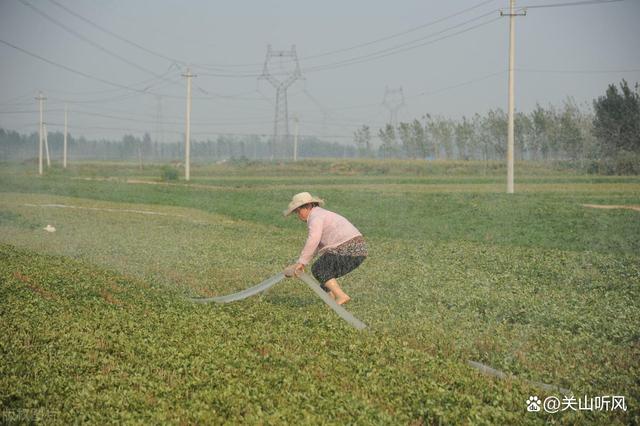 好汉无好妻原因 懒汉娶仙女真相