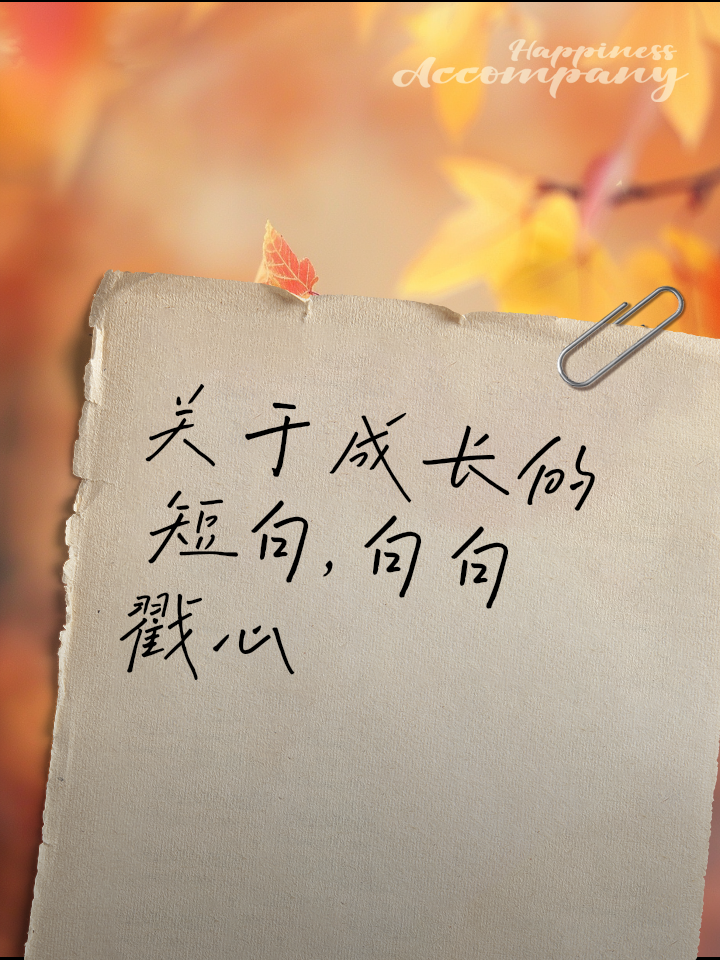 经典语录与优美句子 阳光风景写作素材