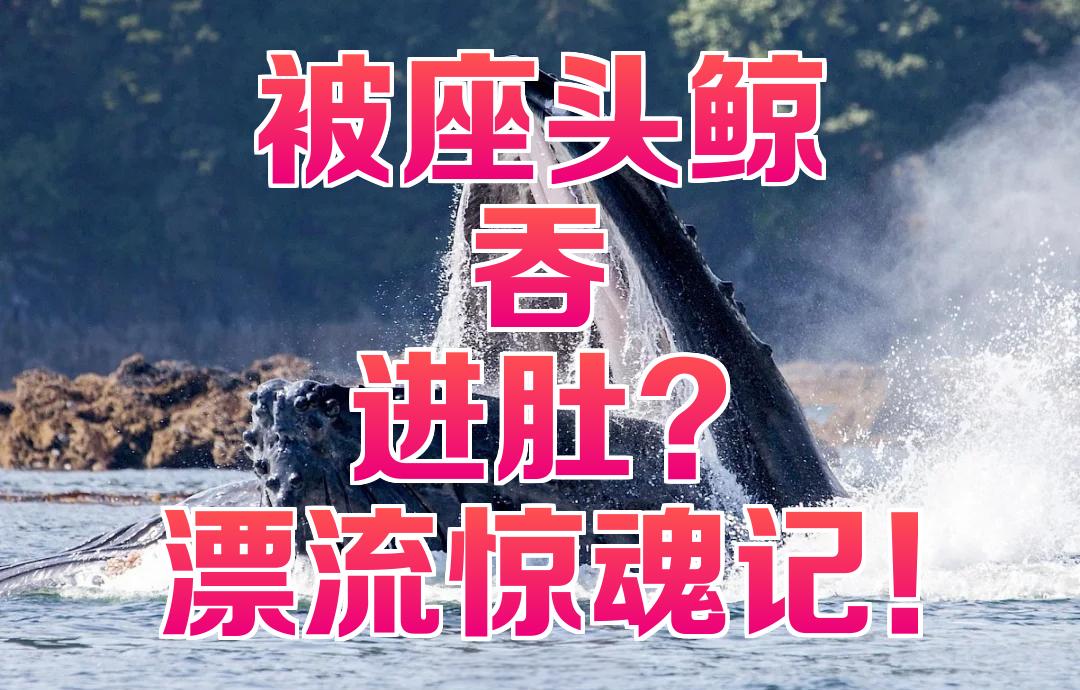 被鲸鱼吞下去怎么办？真的能用刀自救吗？